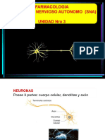 Teorico 3 y 4 SNA y COLINERGICOS - ANTICOLINERGICOS 2023