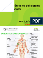 Tema 08 Examen Físico Regional Tórax Cardiovascular