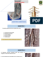 Questões Neuroanatomia Medula Espinhal Abril 2023