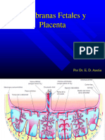 TEMA 11 - Membranas Fetales y Placenta2