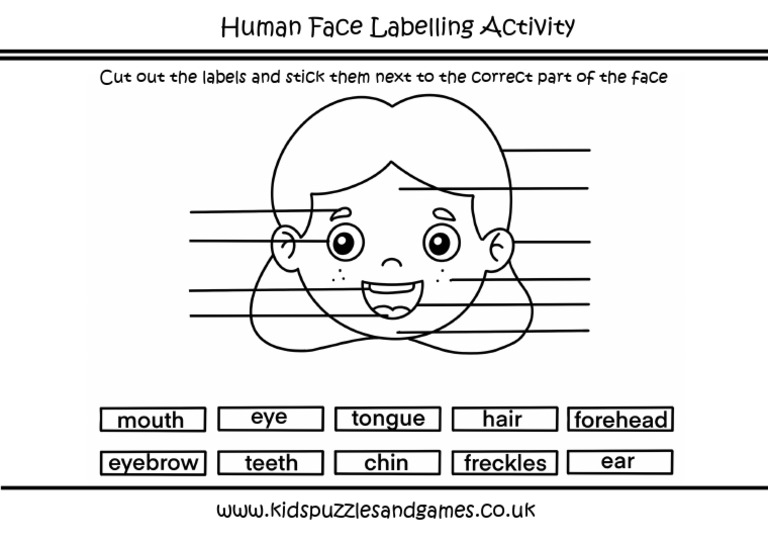 Human Face Labelling Cut and Paste Activity PDF
