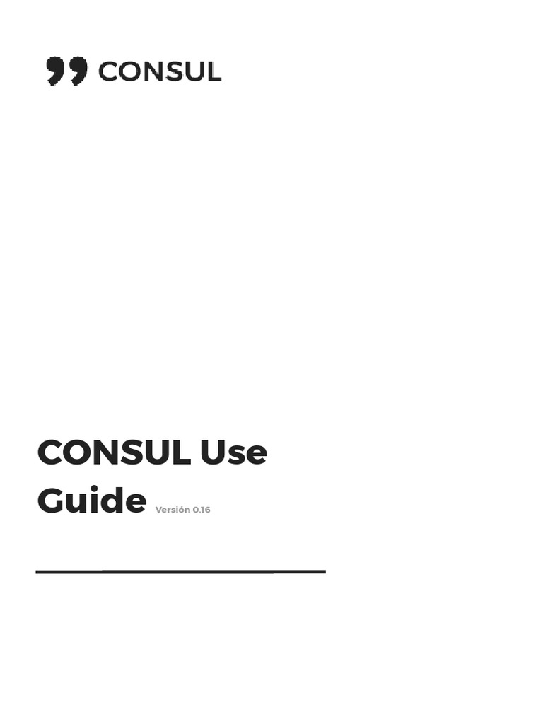 consul_use_guide_en PDF