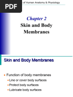 Skin and Body Membranes