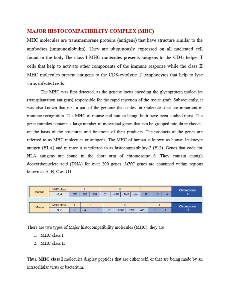 Major ComplexHypersensitivity PDF Major