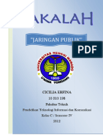 Makalah Jaringan Publik Cicilia Erfina