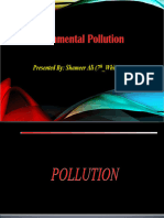Environmental Pollution (Shameer Ali - 7th White)