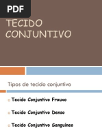 Tecido Conjuntivo