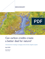 Can Carbon Credits Create A Better Deal For Nature CrossBoundary Natural Capital 1