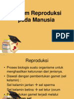 Sistem Reproduksi