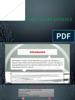 Degradarea Lumii Animale - 1603342827