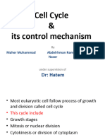 Cell Cycle and Its Control Mechanism