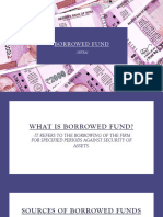 Borrowed Fund - 01
