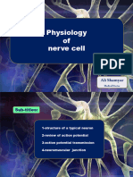 Physiology05 Nerve Cell