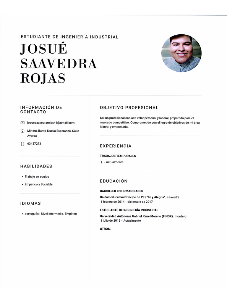 Currículum Vitae | PDF
