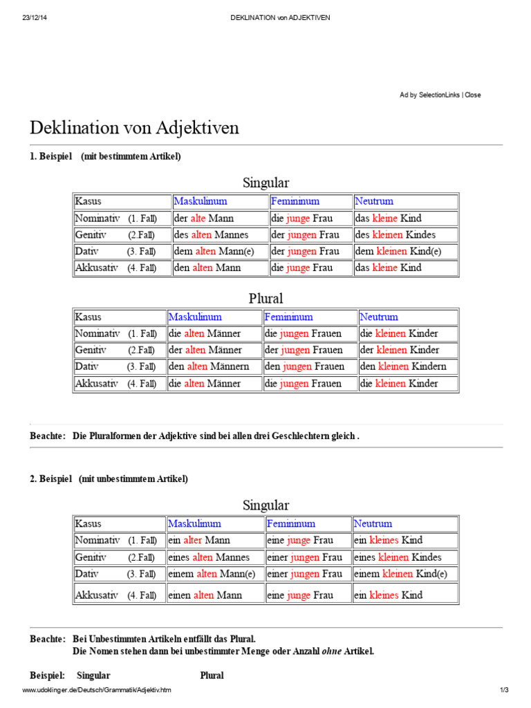DEKLINATION Von ADJEKTIVEN | PDF