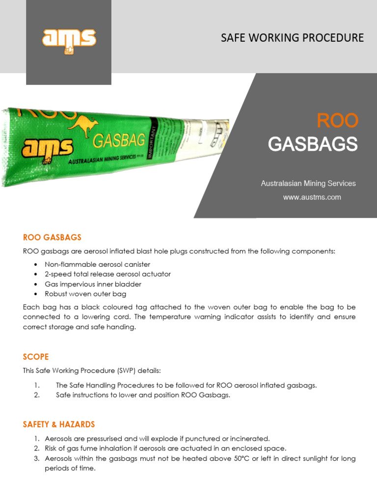 Gasbag SWP 2022 | PDF | Aerosol | Manufactured Goods