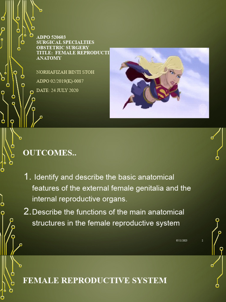 Anatomy visual data 3