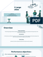 Small & Large Intestine