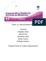 TP 3 Cultura Organizacional, Pellegrini, Germanier, Godoy, Artoragay, Briceño