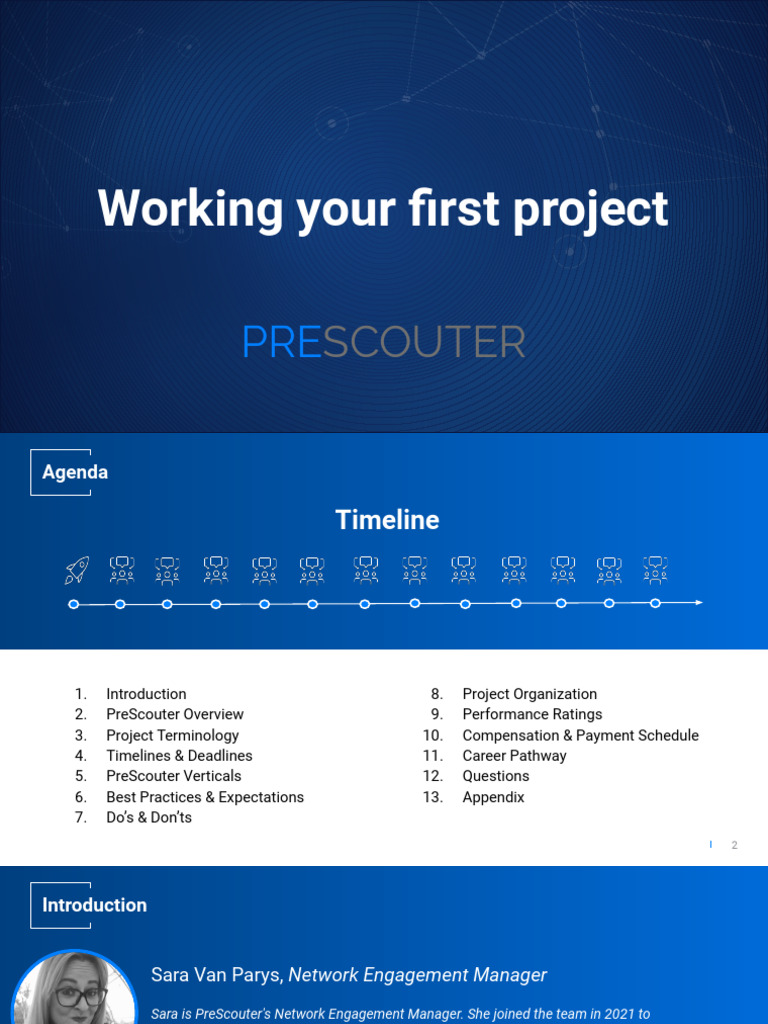 An Analyst Introduction To A Project Pdf Career Growth Art