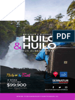 Huilo Huilo