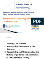 Pp16. Controlling Cardiac Cycle and Heart Rate