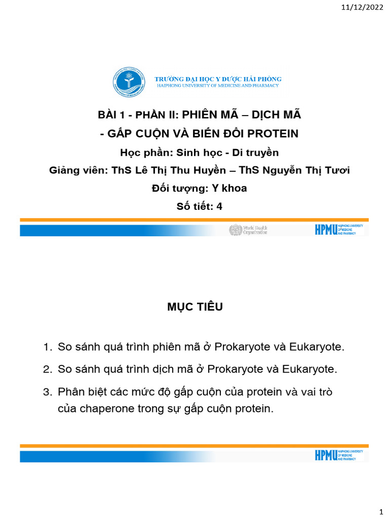 Bài 1 PHẦN 2 PHIÊN MÃ, DỊCH MÃ GẤP CUỘN PROTEIN | PDF