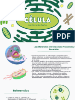 Las Diferencias Entre La Célula Procariota y Eucariota.