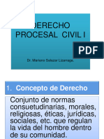 Derecho Procesal Civil I: Dr. Mariano Salazar Lizarraga