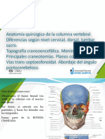 Columna Meninges Craneotomias 1