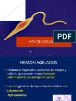 Hemoflagelados Resumen