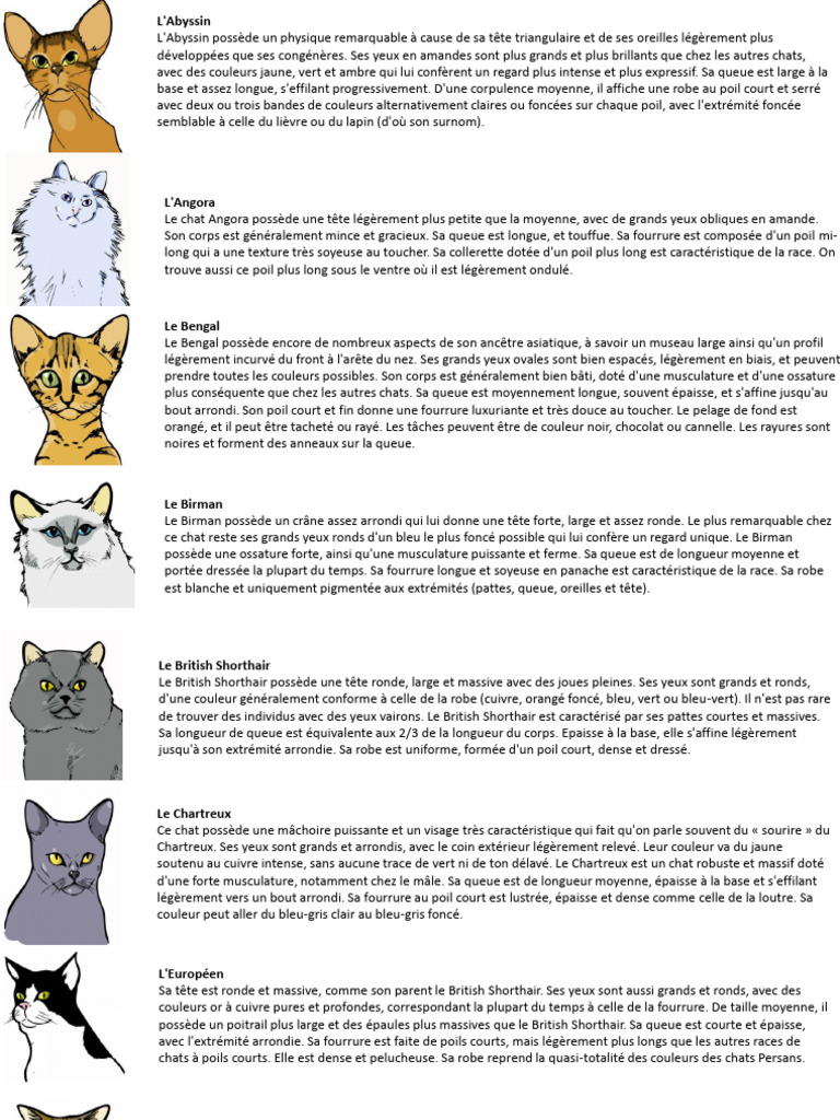 Caractéristiques des races de chats | PDF