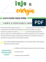 4.2 Flujo de Energía