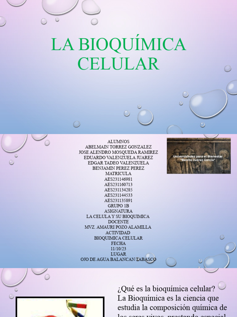 La Bioquímica Celular | PDF