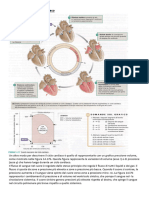 Ciclo Cardiaco e Gittata