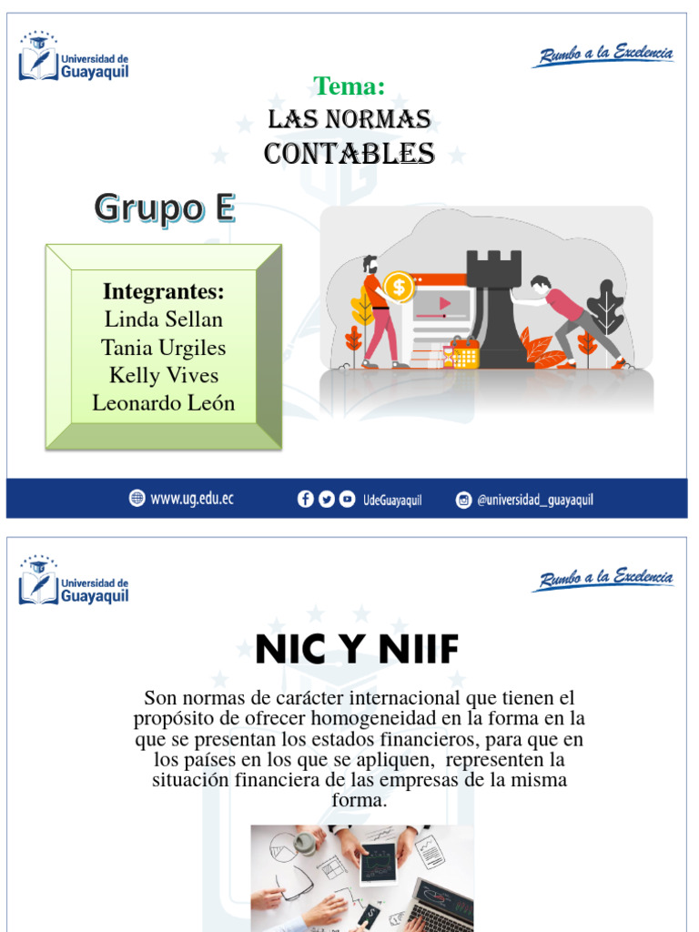 Exposicion Normas Contables | PDF