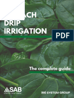 Spinach Drip Irrigation