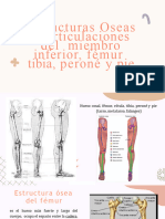 17.estructuras Óseas y Articulaciones Del Miembro Inferior (Fémur, Tibia, Peroné y Pie)