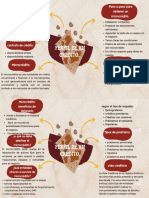 Mapa Matematica Financiera