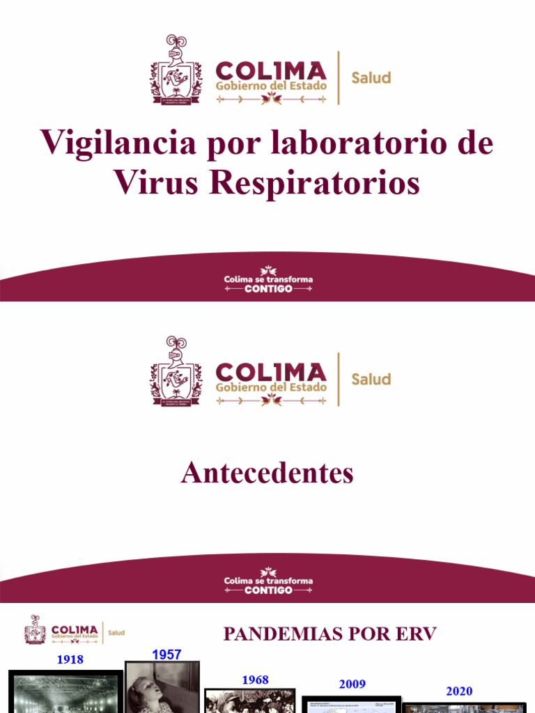 Vigilancia de Virus Respiratorios y Diagnóstico | PDF | Influenza ...