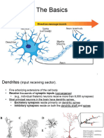 Cellular Components 2