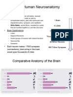 Cellular Components 1