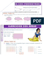 Area y Perimetro