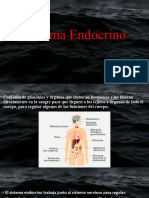 Sistema Endocrino