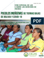 Informe Nnuu Derechos Pueblos Indigenas 250620