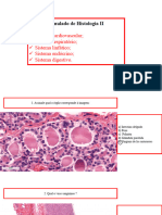 Simulado Histo II