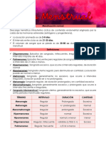 T4 - Ciclo Menstrual