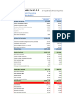 Semana 09 - Análisis Balance General y Estado de Resultados Enel Generación Perú