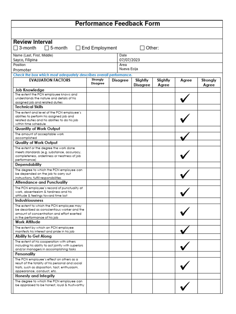 Performance Feedback Form for Promoter | PDF | Employment | Cognitive ...