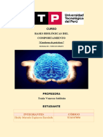 Tarea 5 Bases Biologicas